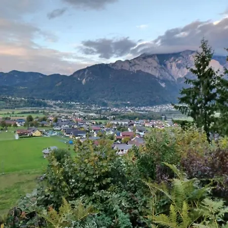 Gaensebluemchen * Feistritz an der Gail