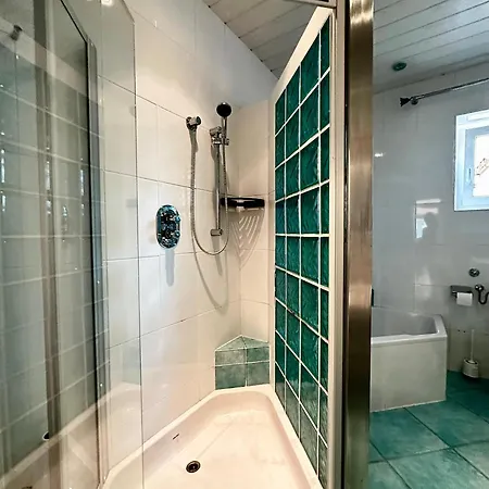 Gaensebluemchen Feistritz an der Gail